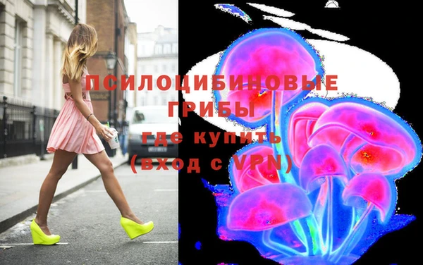 прущие крисы Вязники